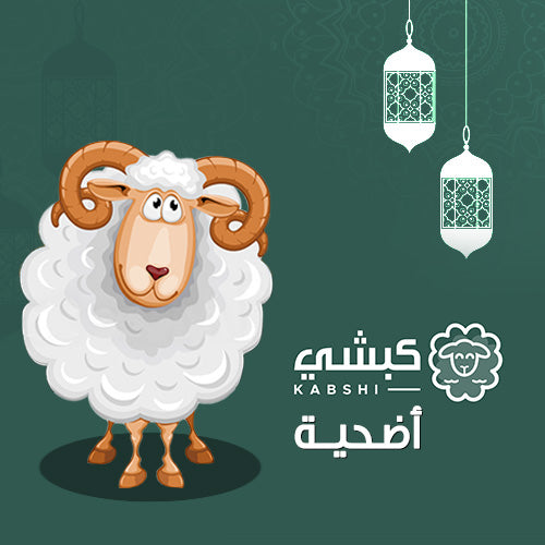 Udhiya (Qurbani) -  أضحية خروف بلدي في الأردن لباب بيتك